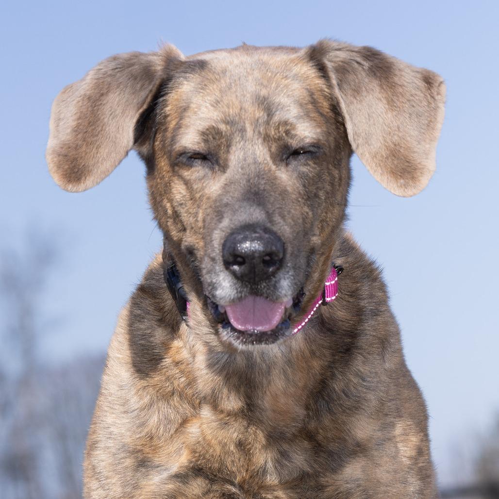 Lady — thumbnail 4