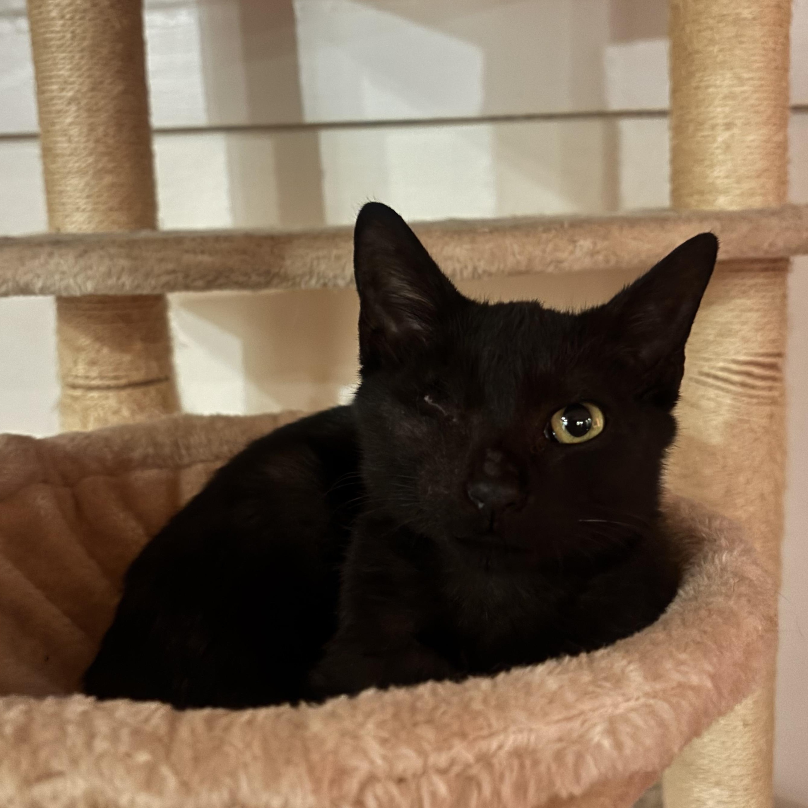 Merv Samos Millar  thumbnail 4