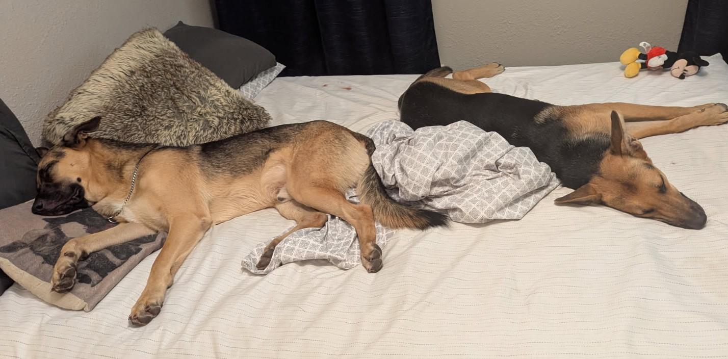Sarge and Heidi