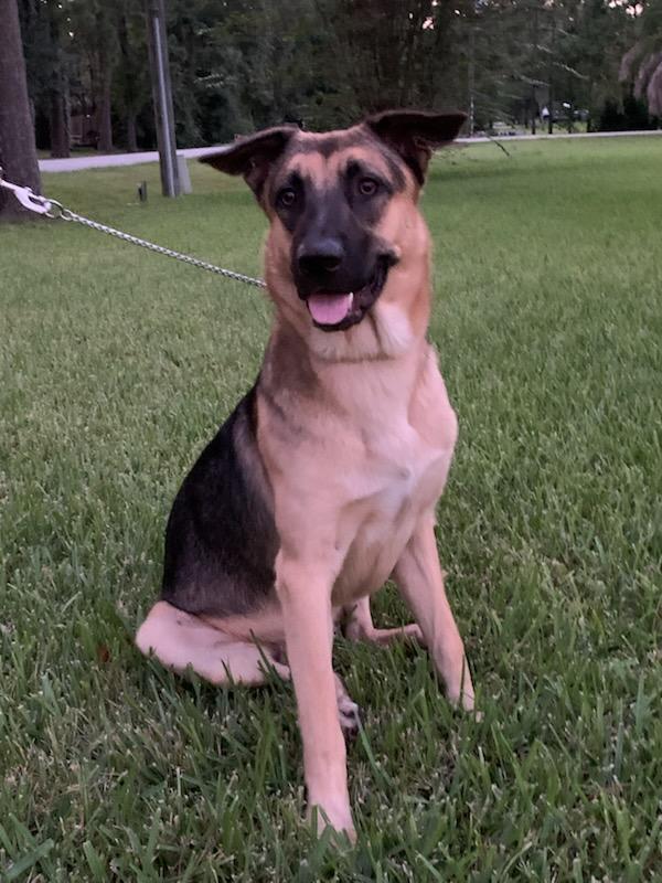 Sarge and Heidi