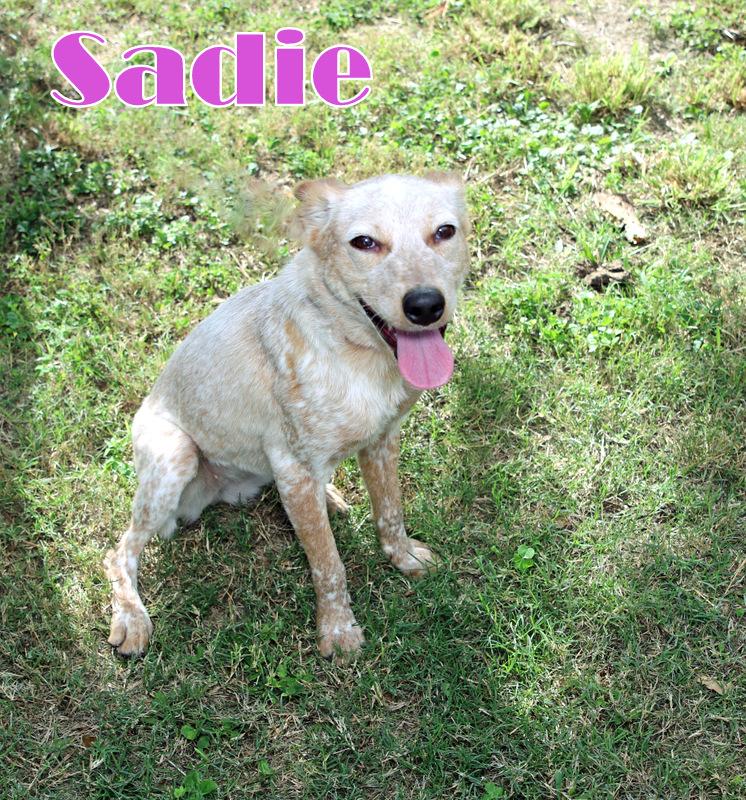 SADIE photo 5