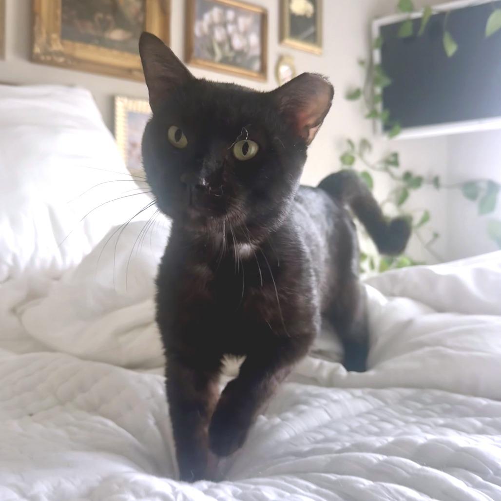 Edgar Eduardo — thumbnail 2