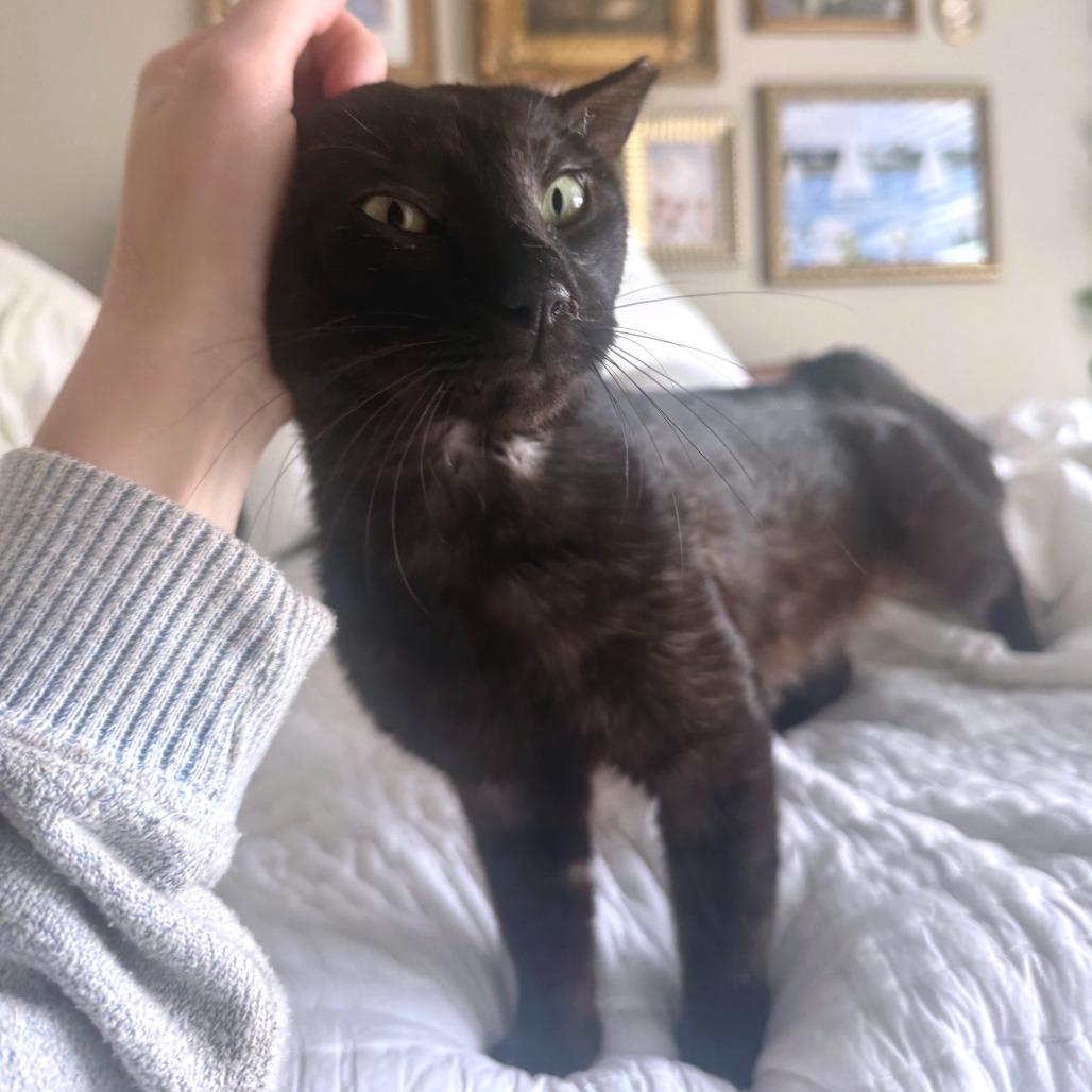 Edgar Eduardo — thumbnail 3