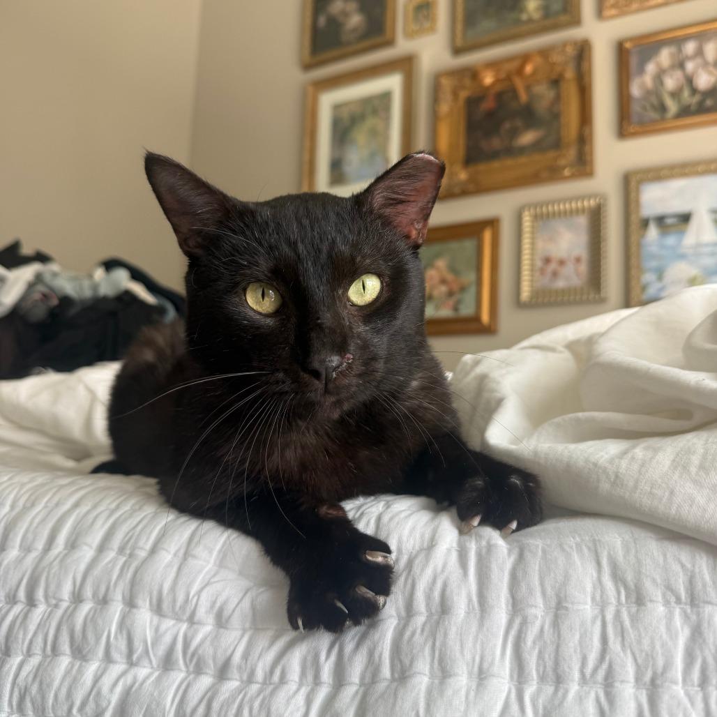 Edgar Eduardo — thumbnail 4