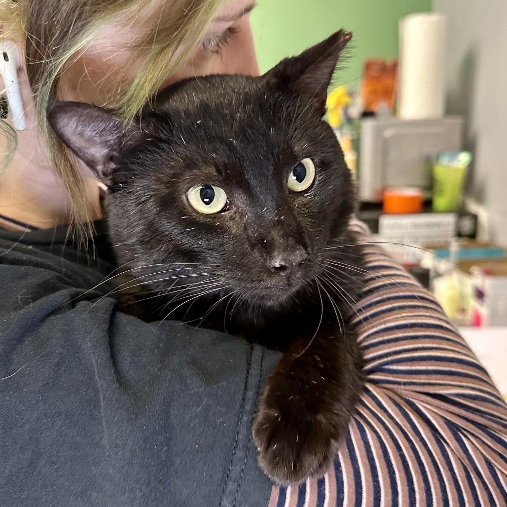 Edgar Eduardo — thumbnail 5