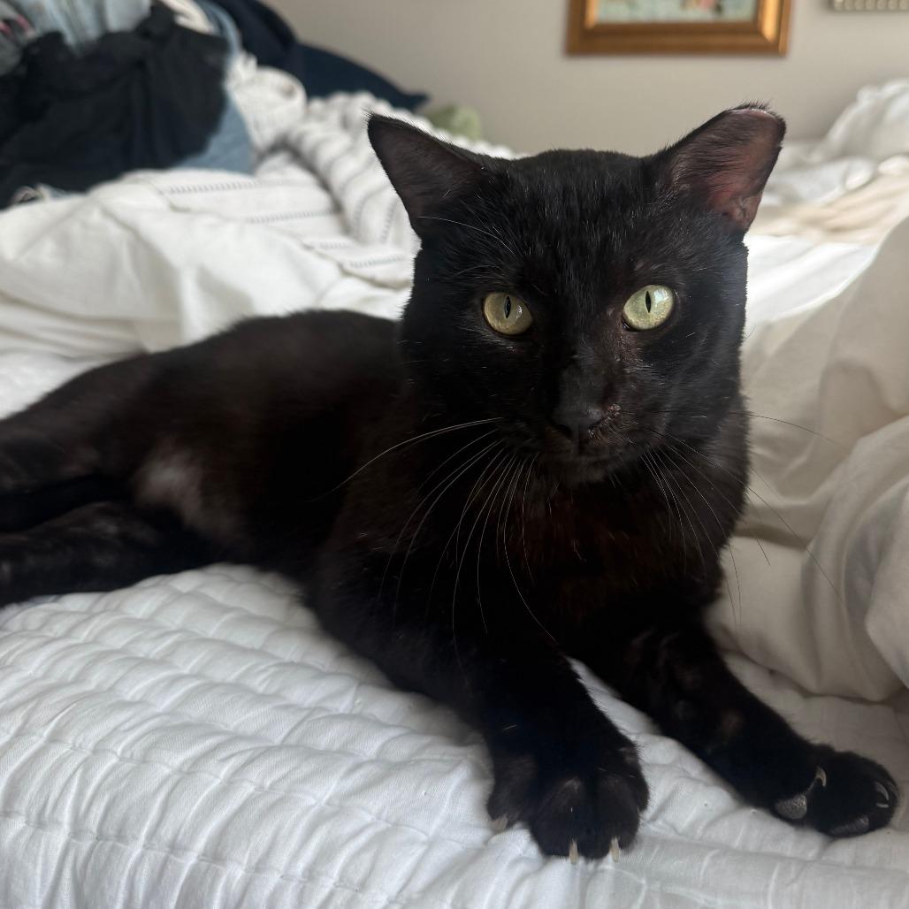 Edgar Eduardo — thumbnail 6