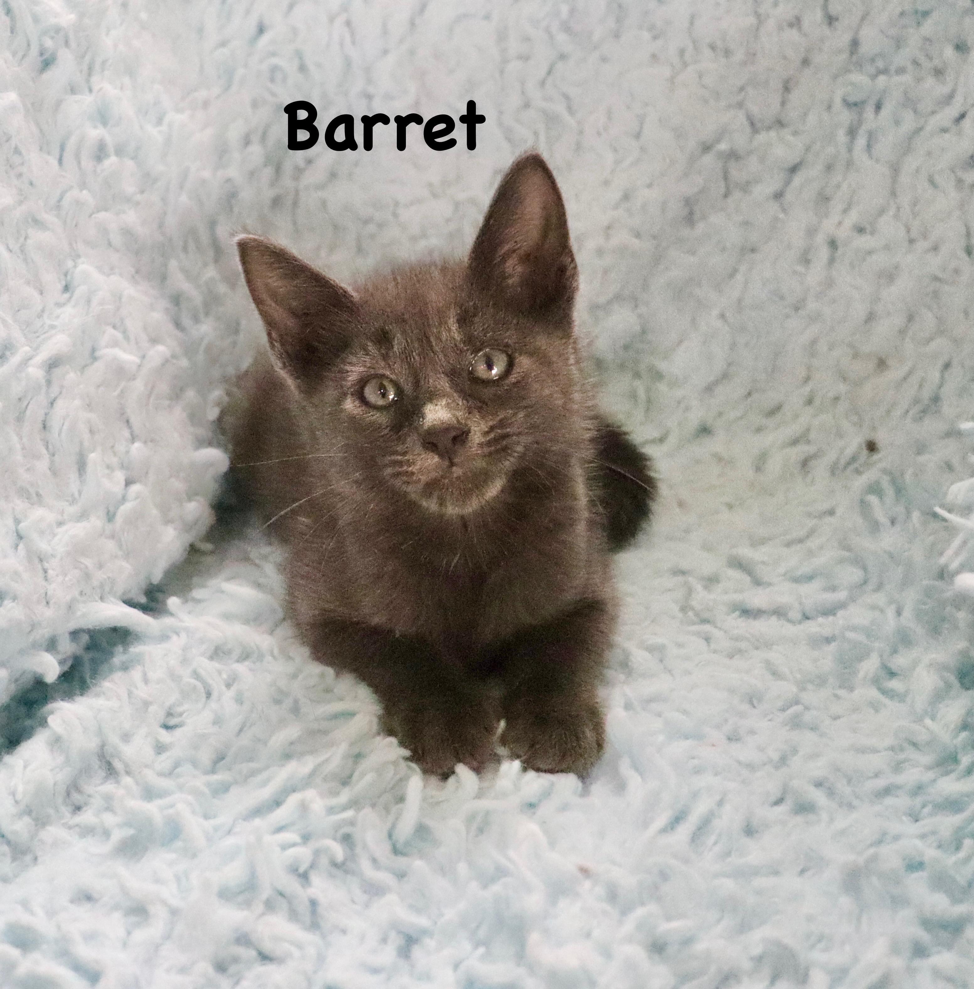 Barret