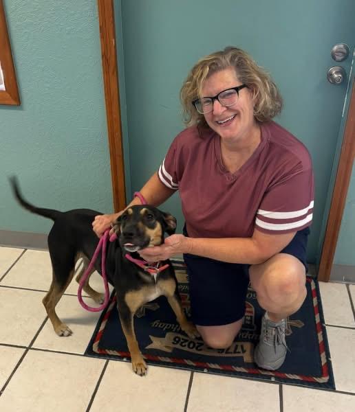 Rosie, a ADOPTABLE mixed breed in Inverness, FL image 4/4