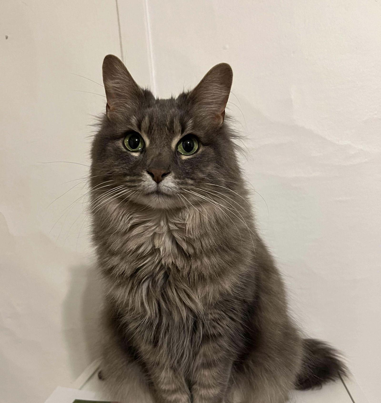 Erika — thumbnail 2