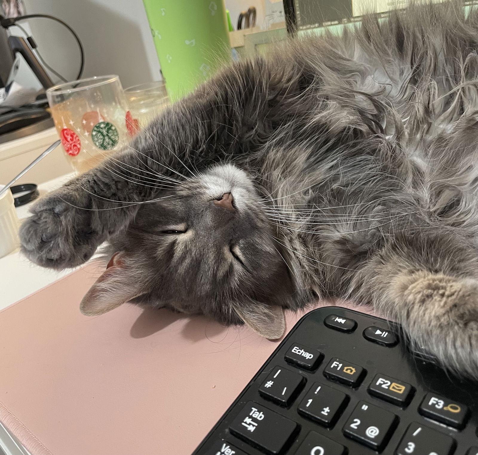 Erika — thumbnail 3