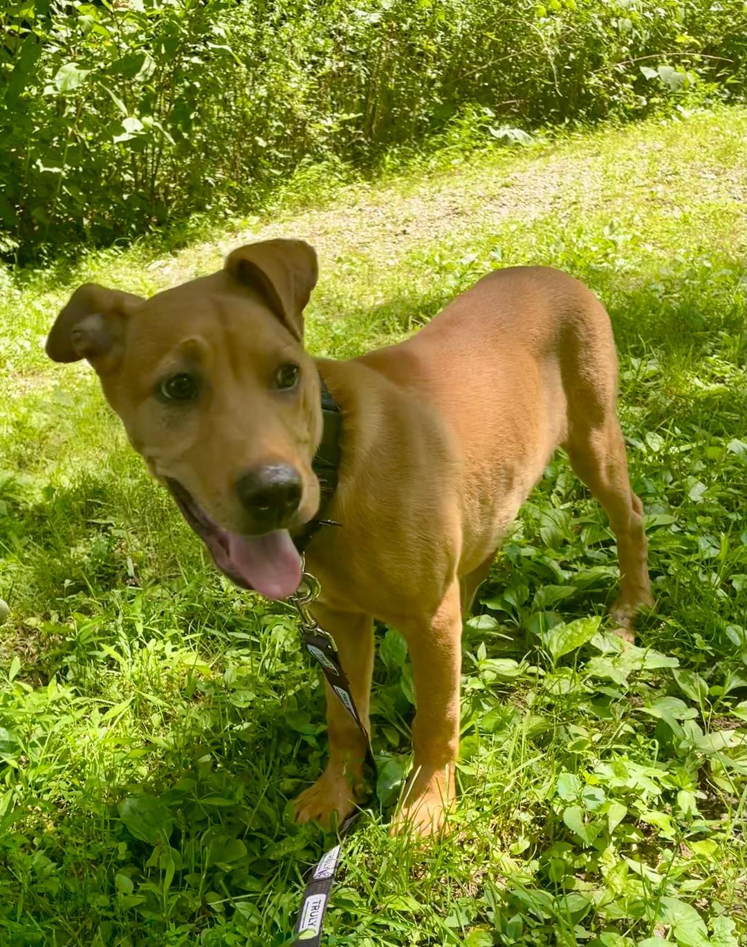 Zeus, Baby Male unknown
