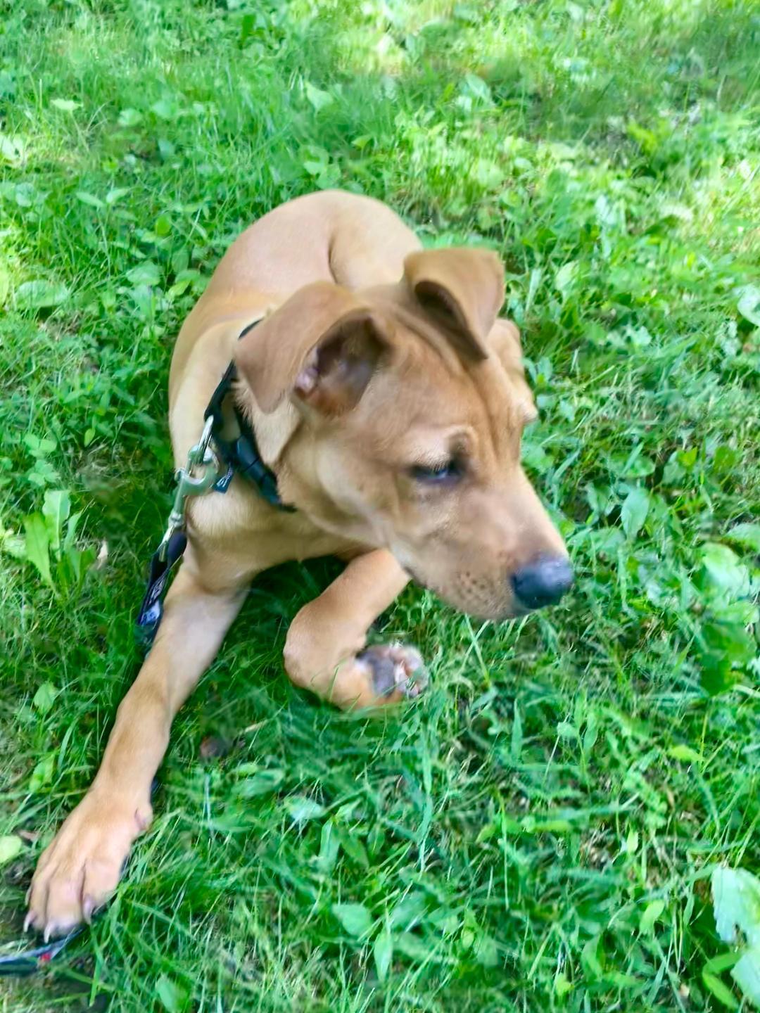 Zeus photo 6