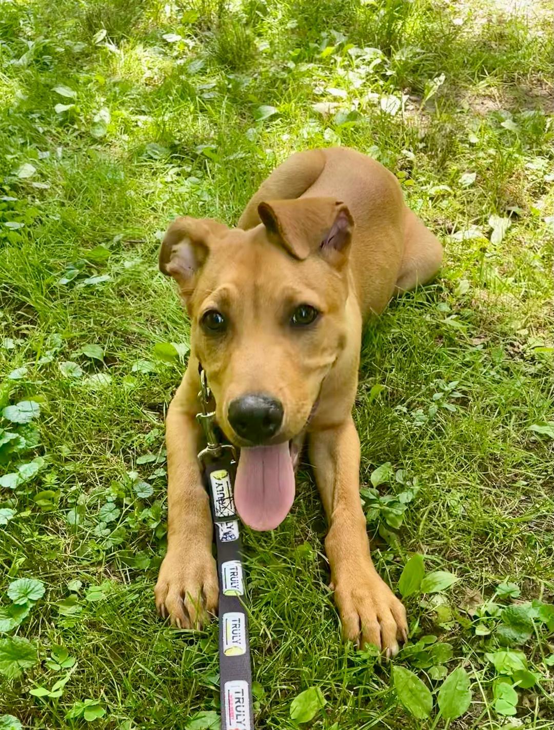 Zeus photo 3