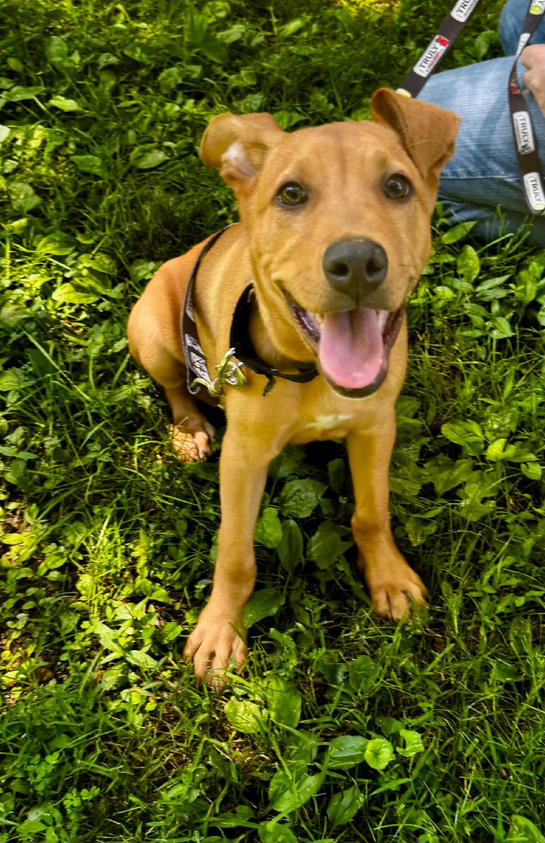 Zeus photo 2