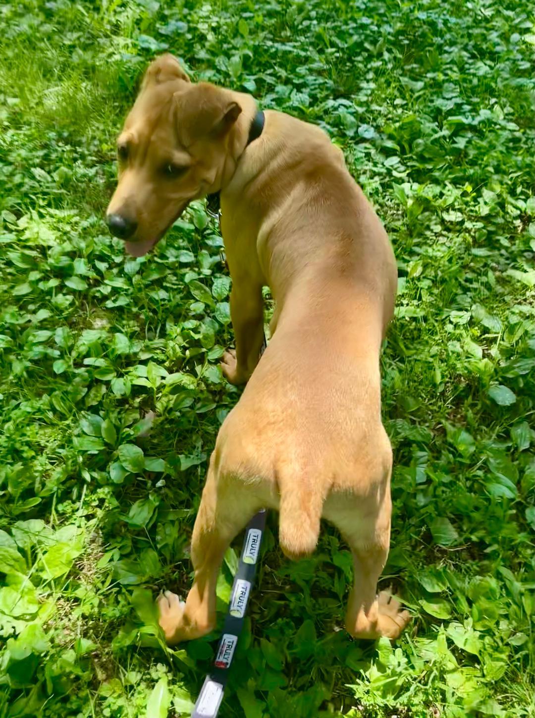 Zeus photo 5