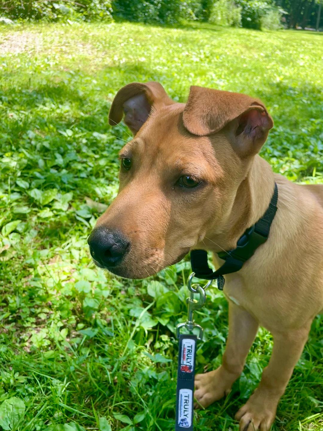 Zeus photo 4