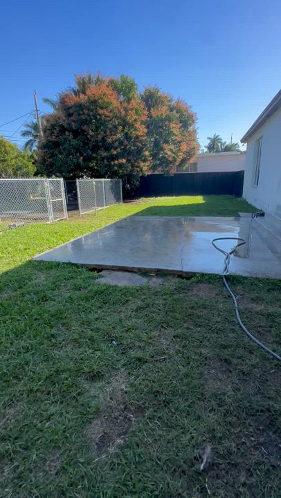 Enlarge Xavier, a Adoptable mixed breed in North Miami, FL video 2/5