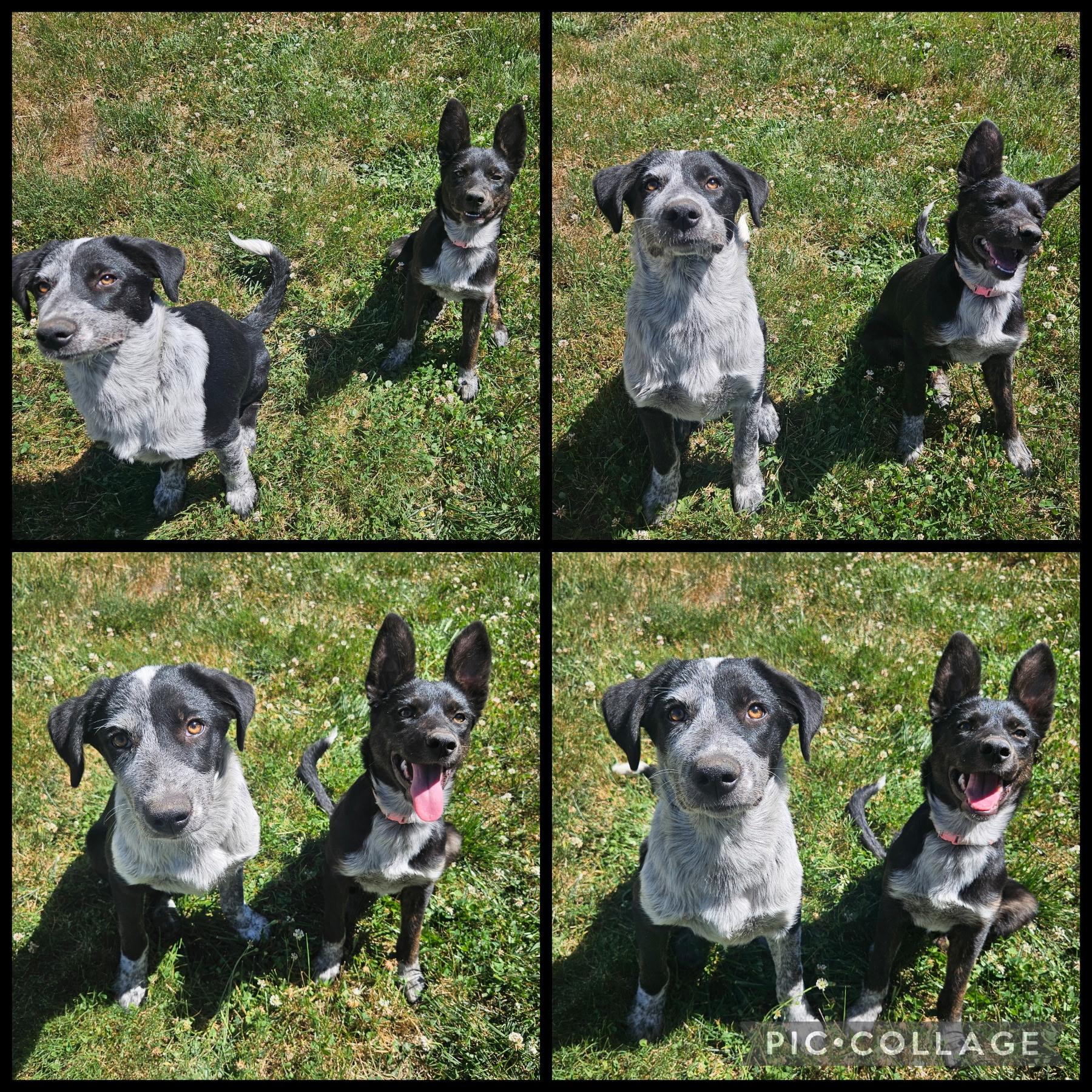 Stitch photo 3