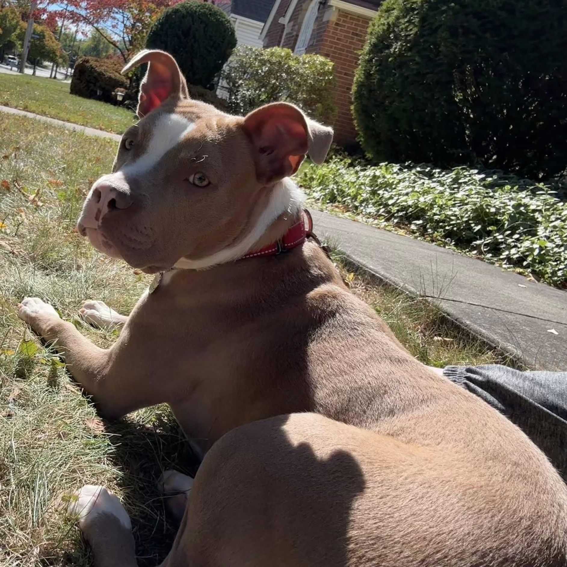 Sally
