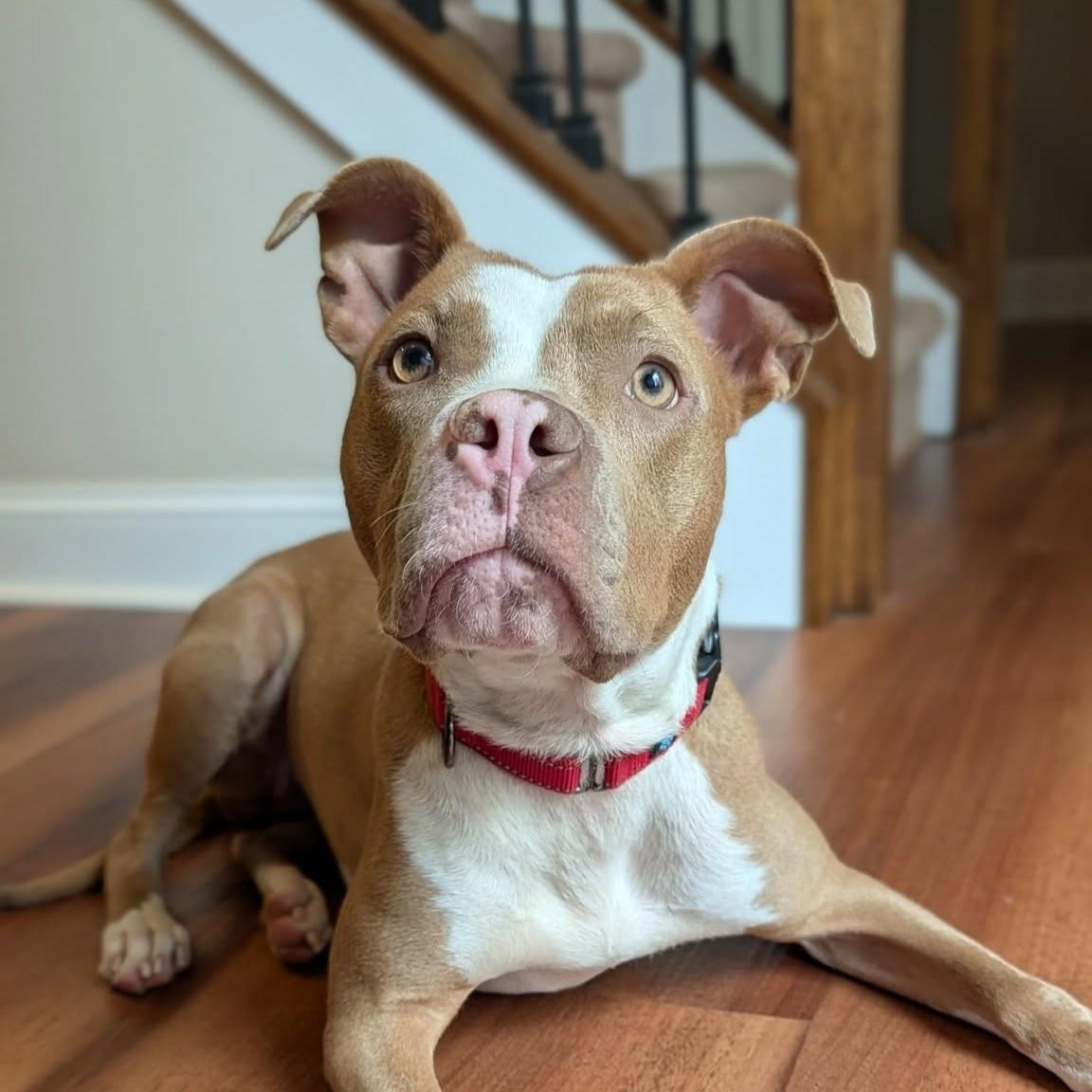Sally