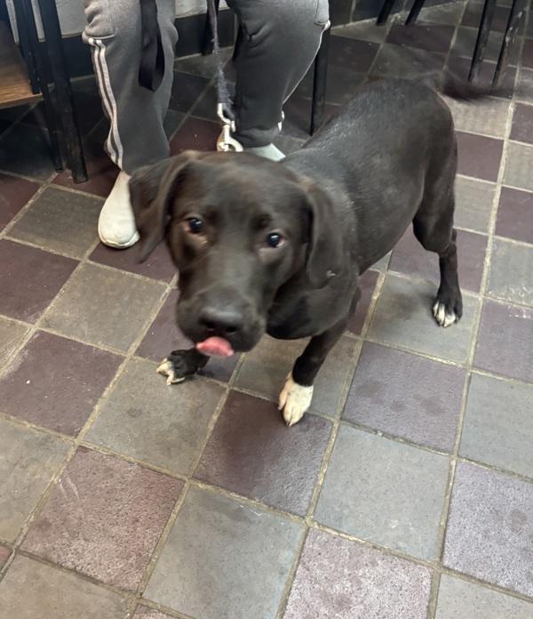 Manchita — thumbnail 2