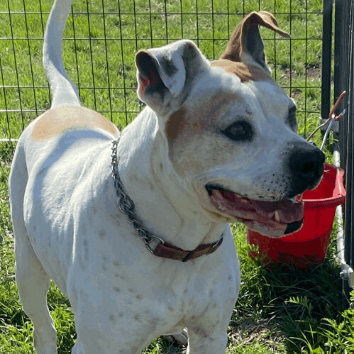 *Charlie photo 4