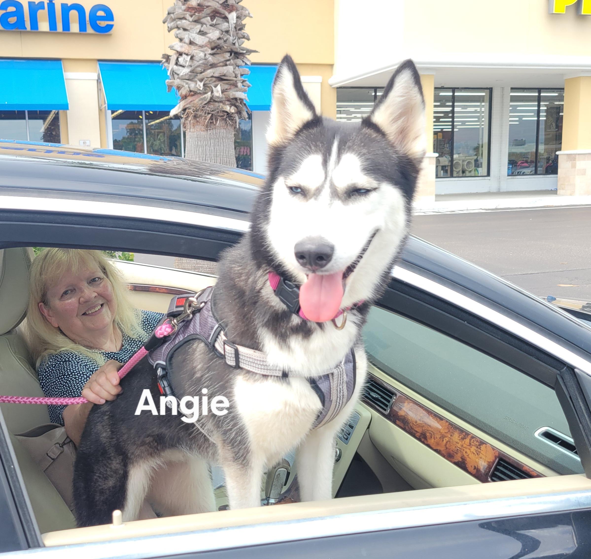 Angie