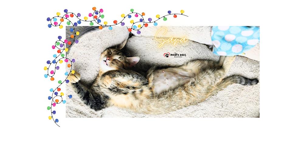 Sara (Mama of the Buggies) — thumbnail 5