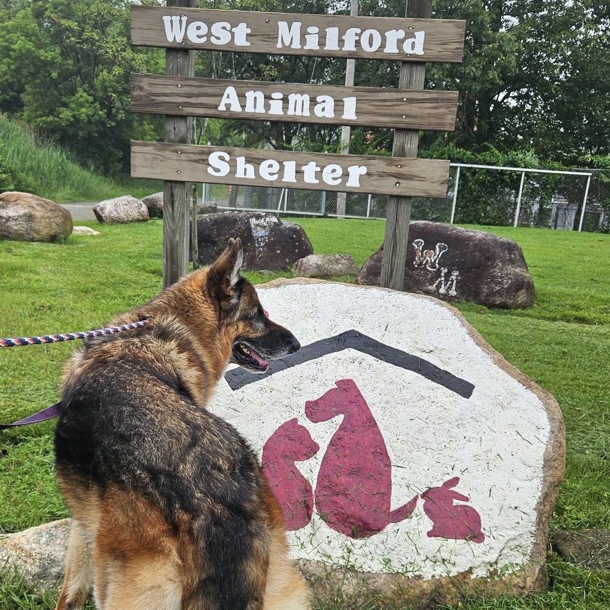 Chief 5