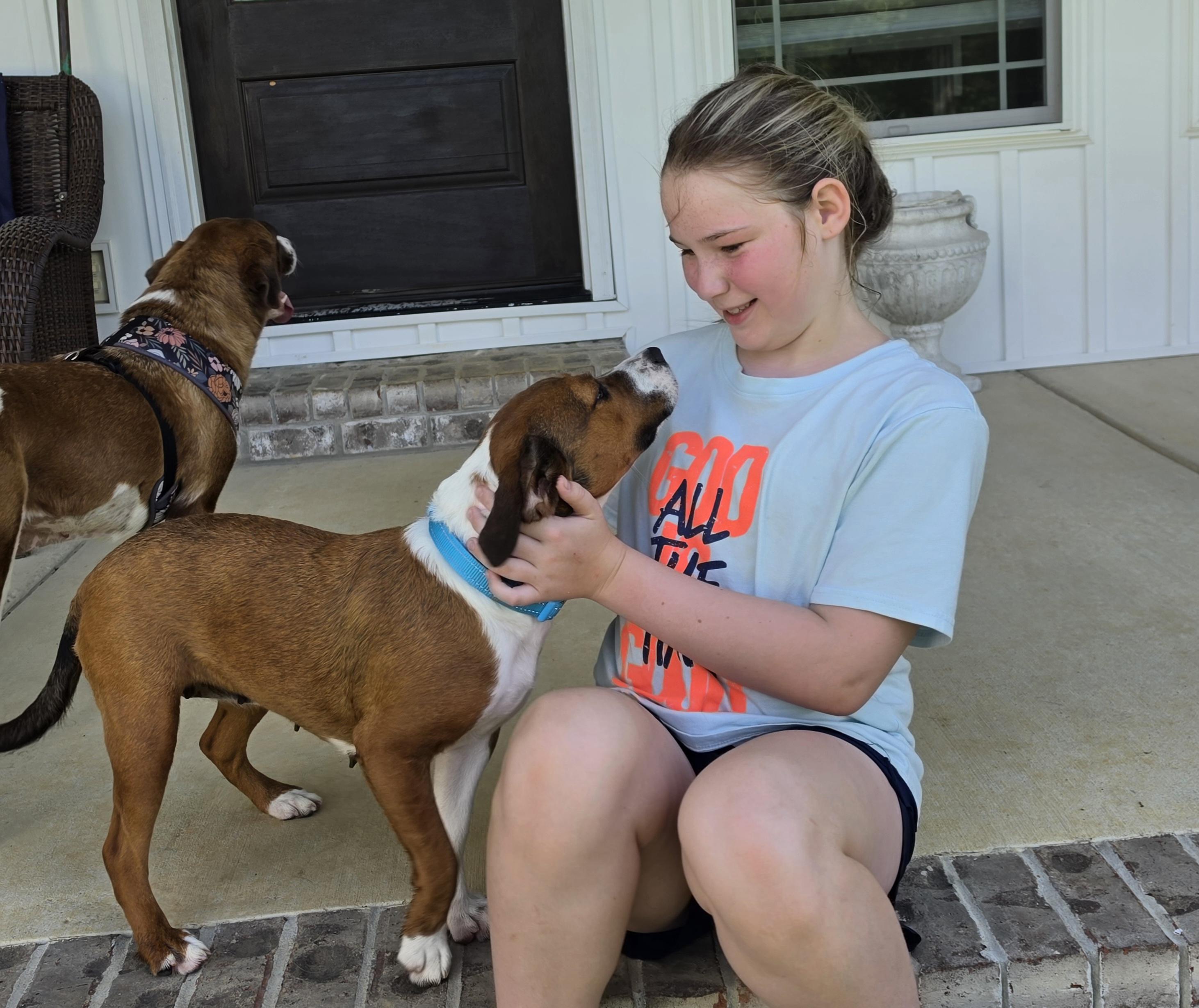 Enlarge Haley, a ADOPTABLE mixed breed in Medfield, MA image 2/6