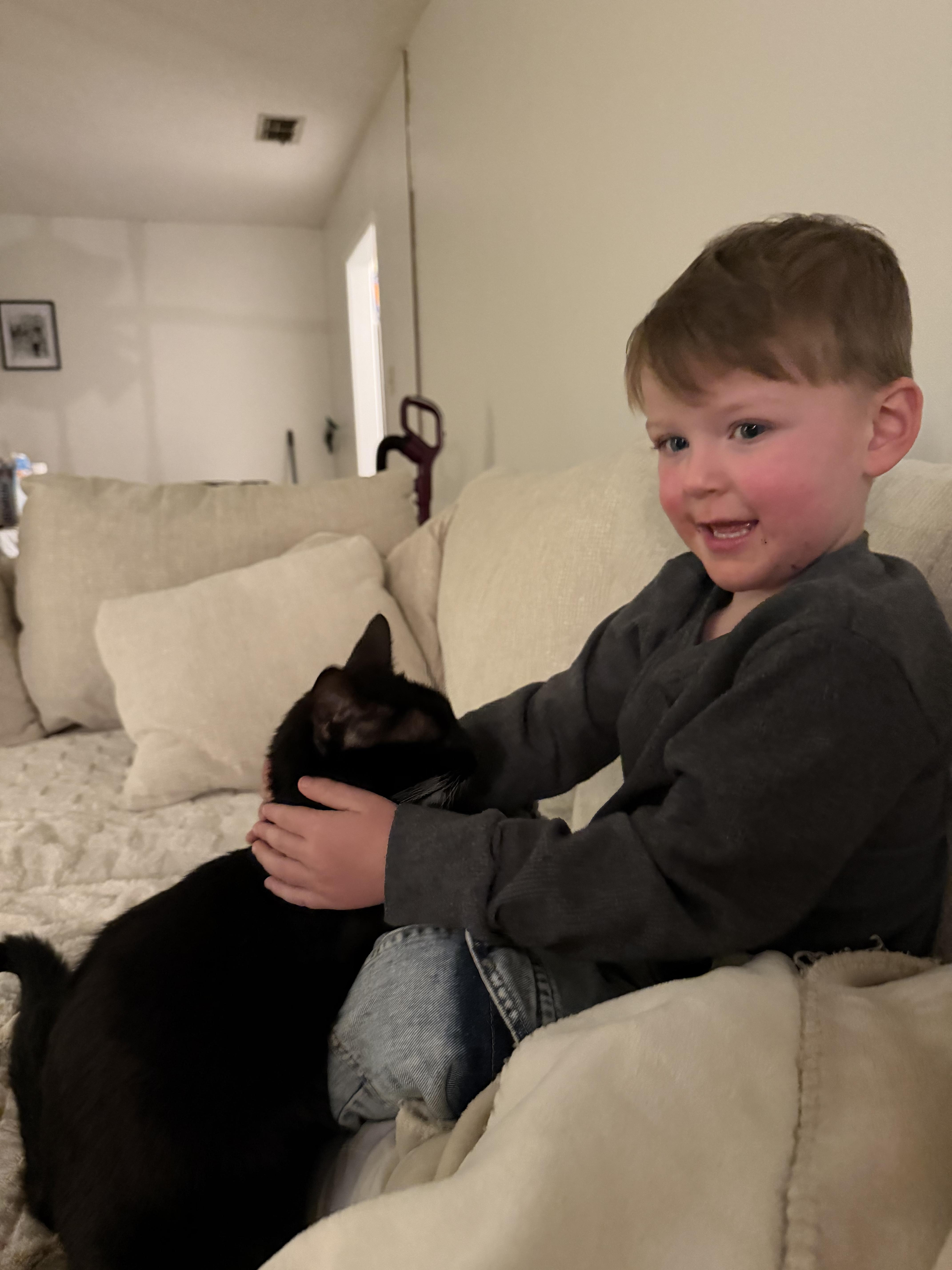 Enlarge Goatee, a Adoptable Tuxedo in Chickasaw, AL image 6/6