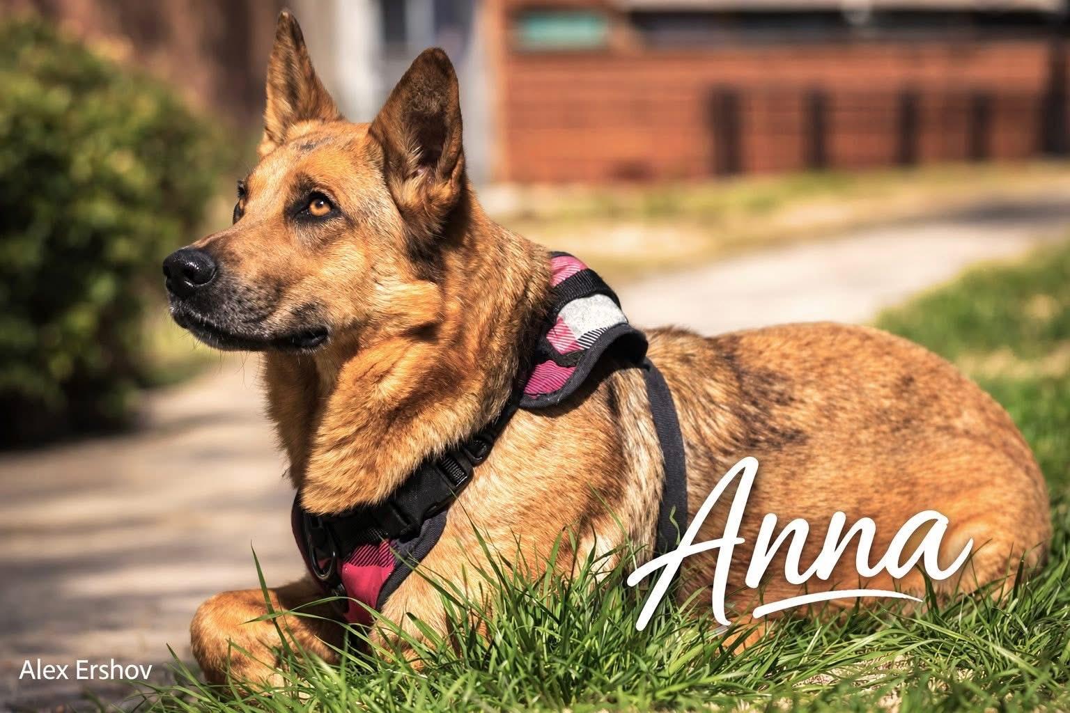 Anna — thumbnail 3