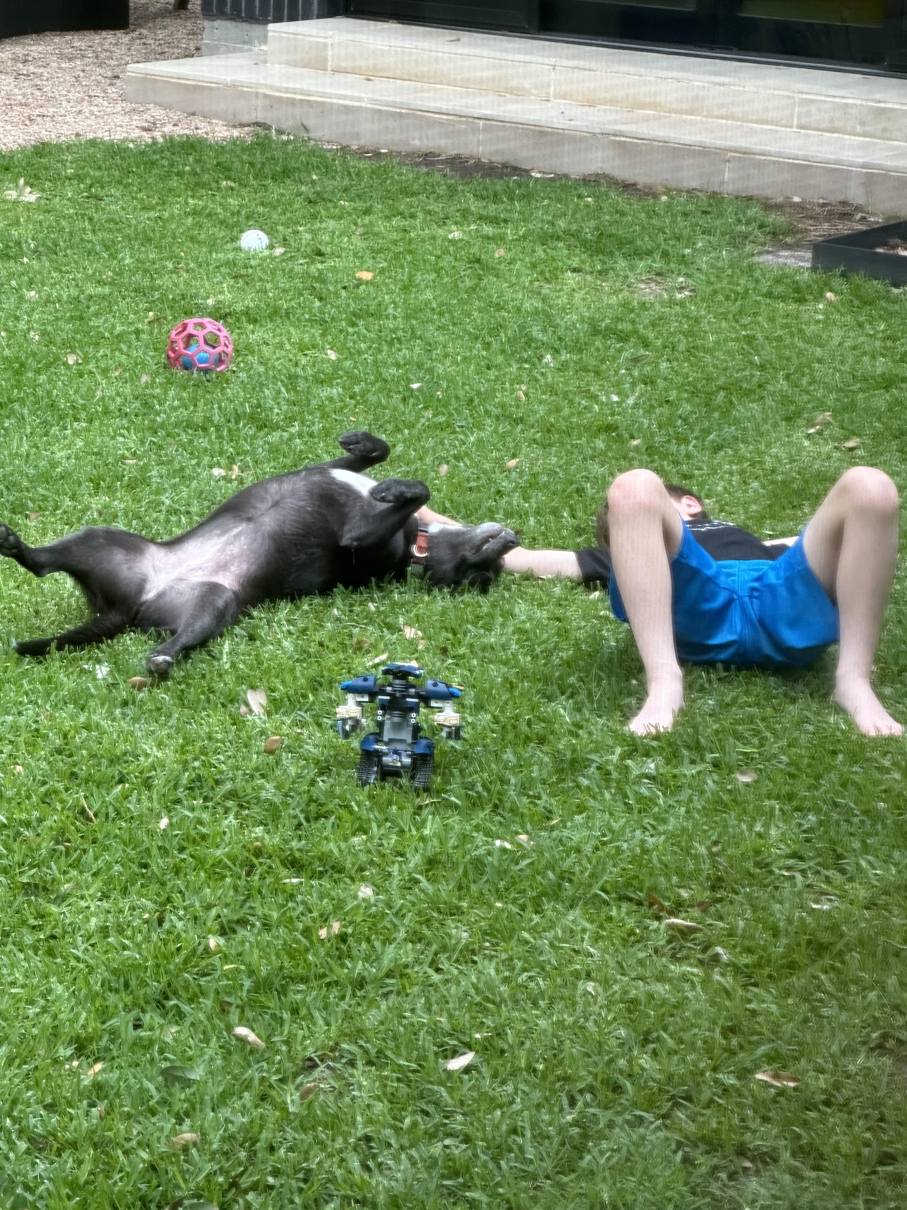 Etta - Courtesy Listing, a Adoptable mixed breed in Austin, TX image 3/5