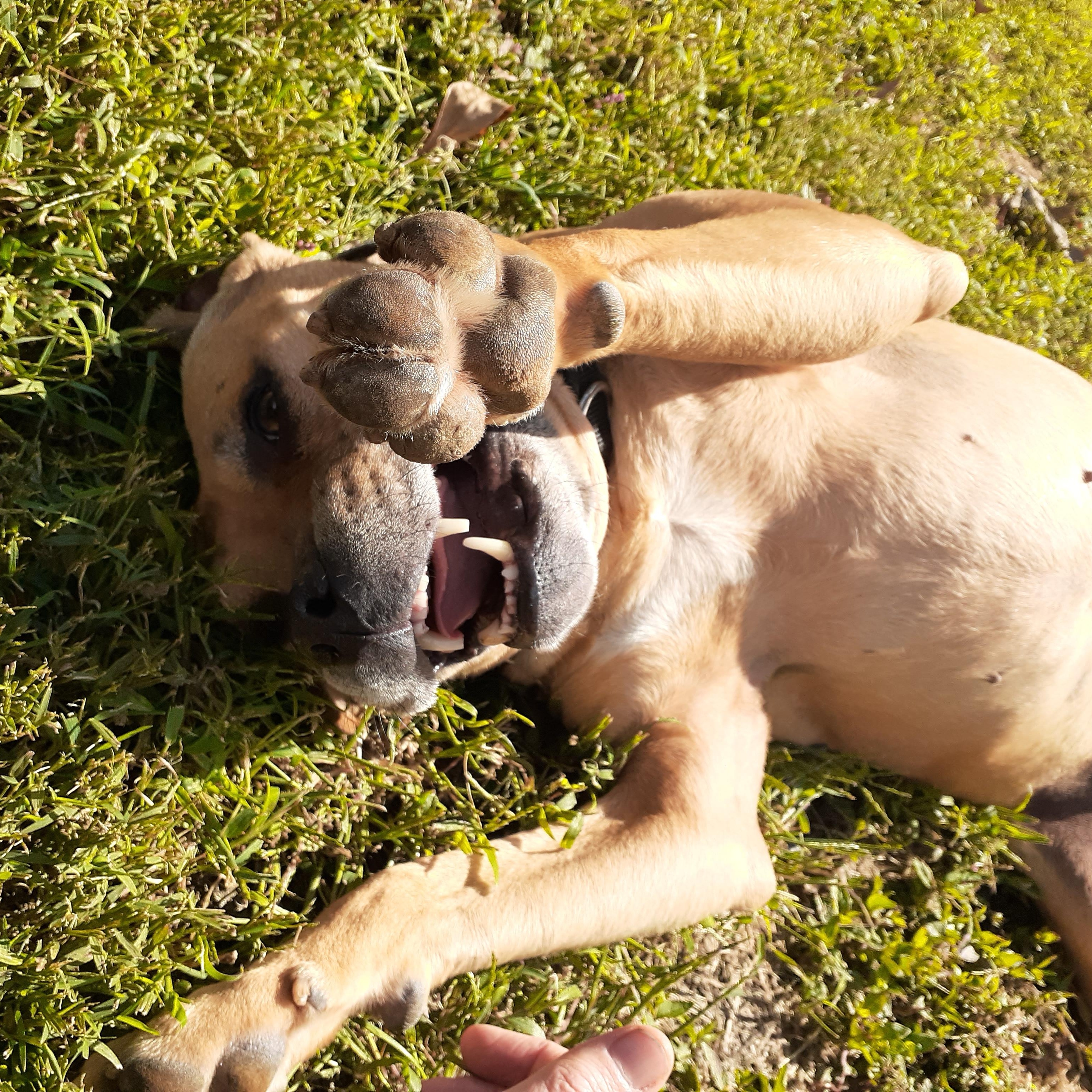 Holly — thumbnail 2