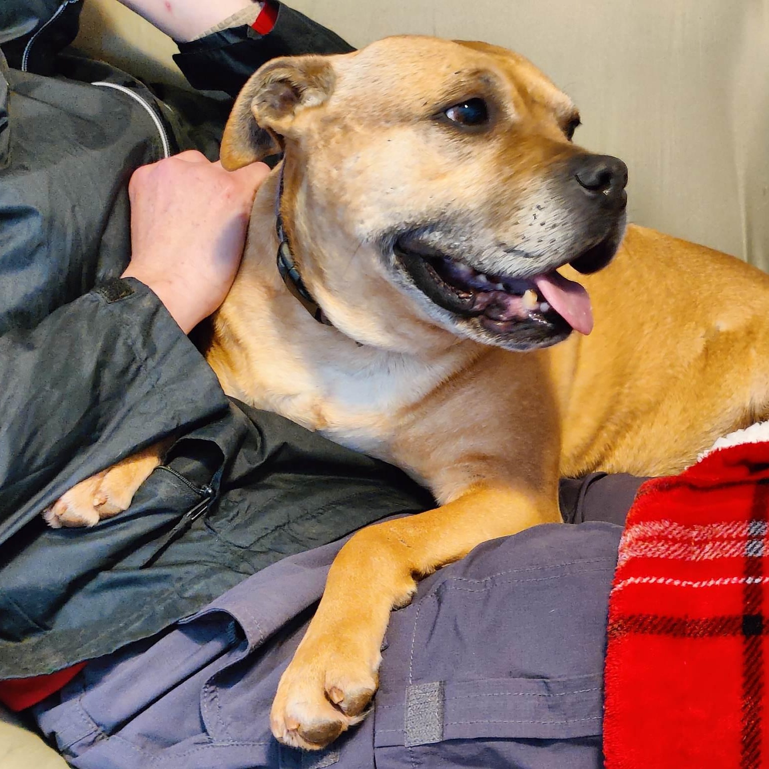 Holly — thumbnail 3