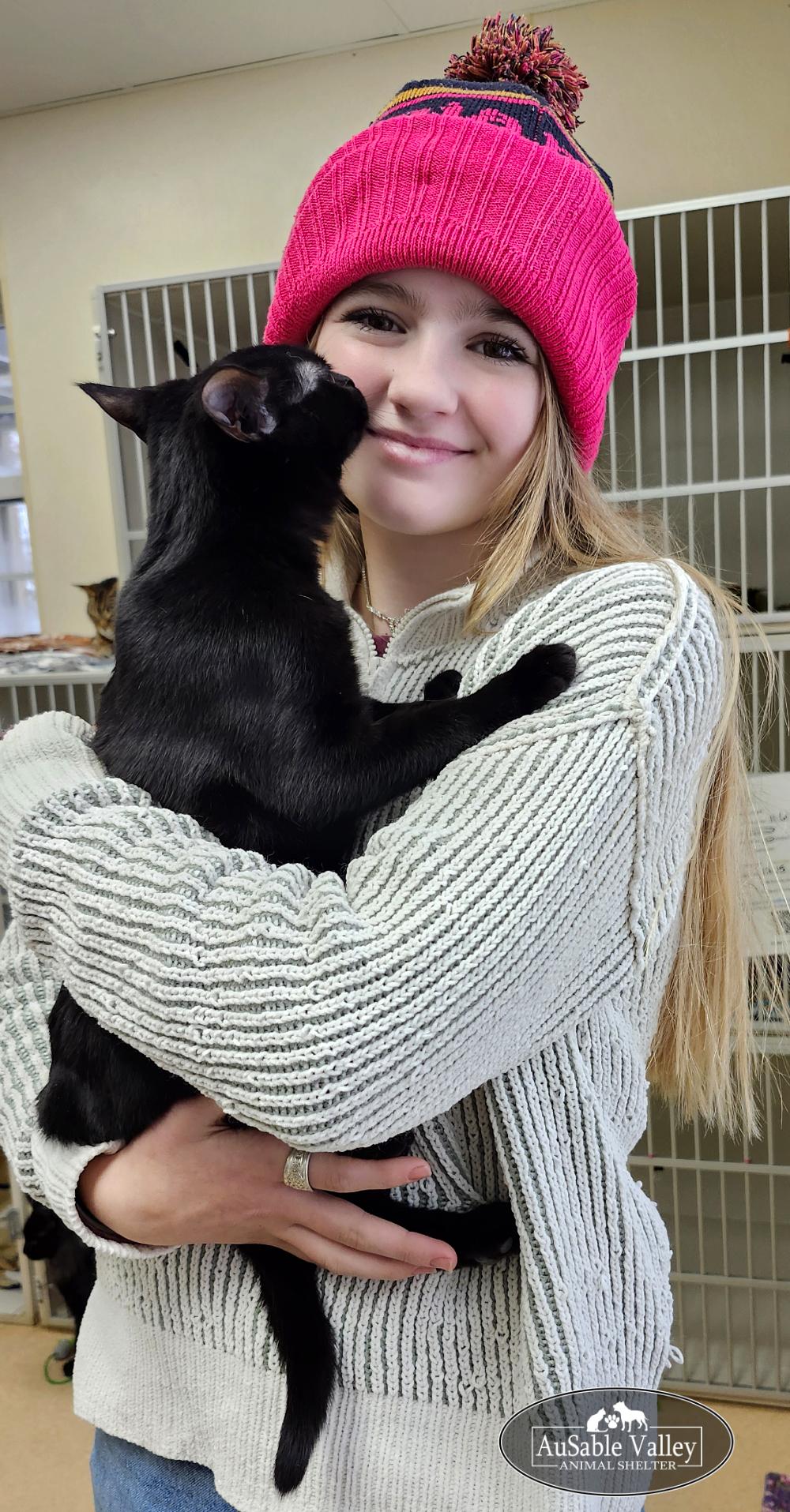 Gordita, a Adoptable Domestic Medium Hair in Grayling, MI image 3/5