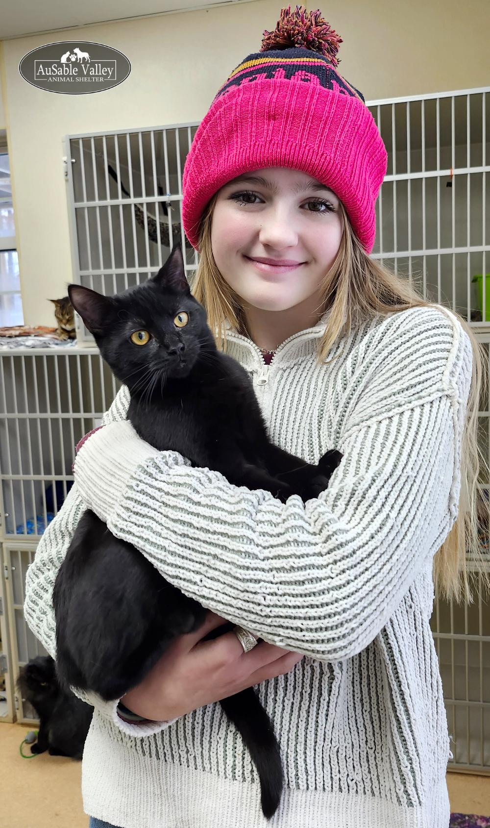Gordita, Adoptable, Young Female Domestic Medium Hair.