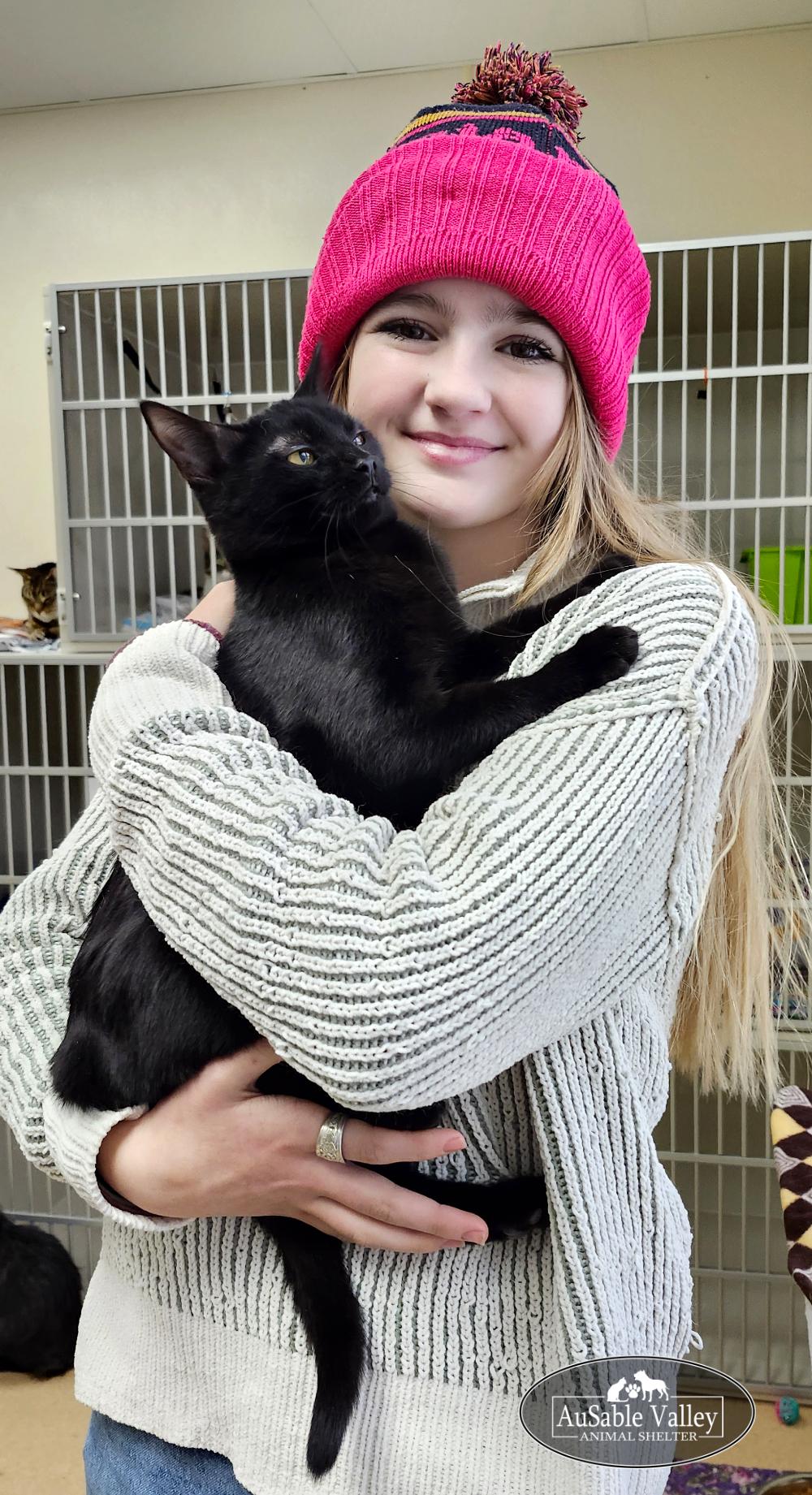 Gordita, a Adoptable Domestic Medium Hair in Grayling, MI image 4/5