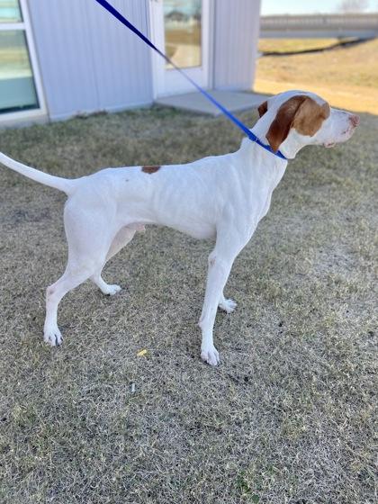 Owen — thumbnail 2