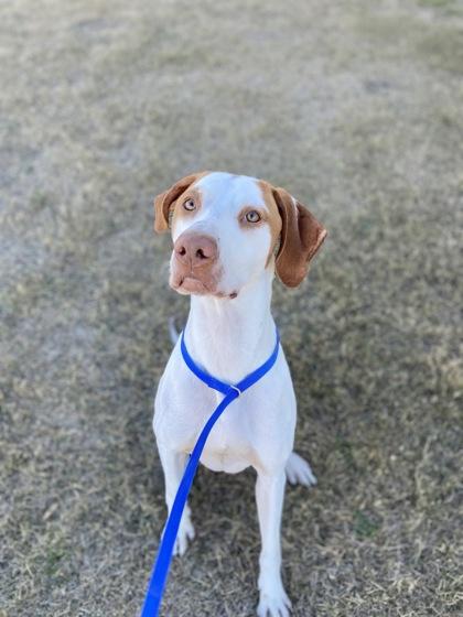 Owen — thumbnail 3