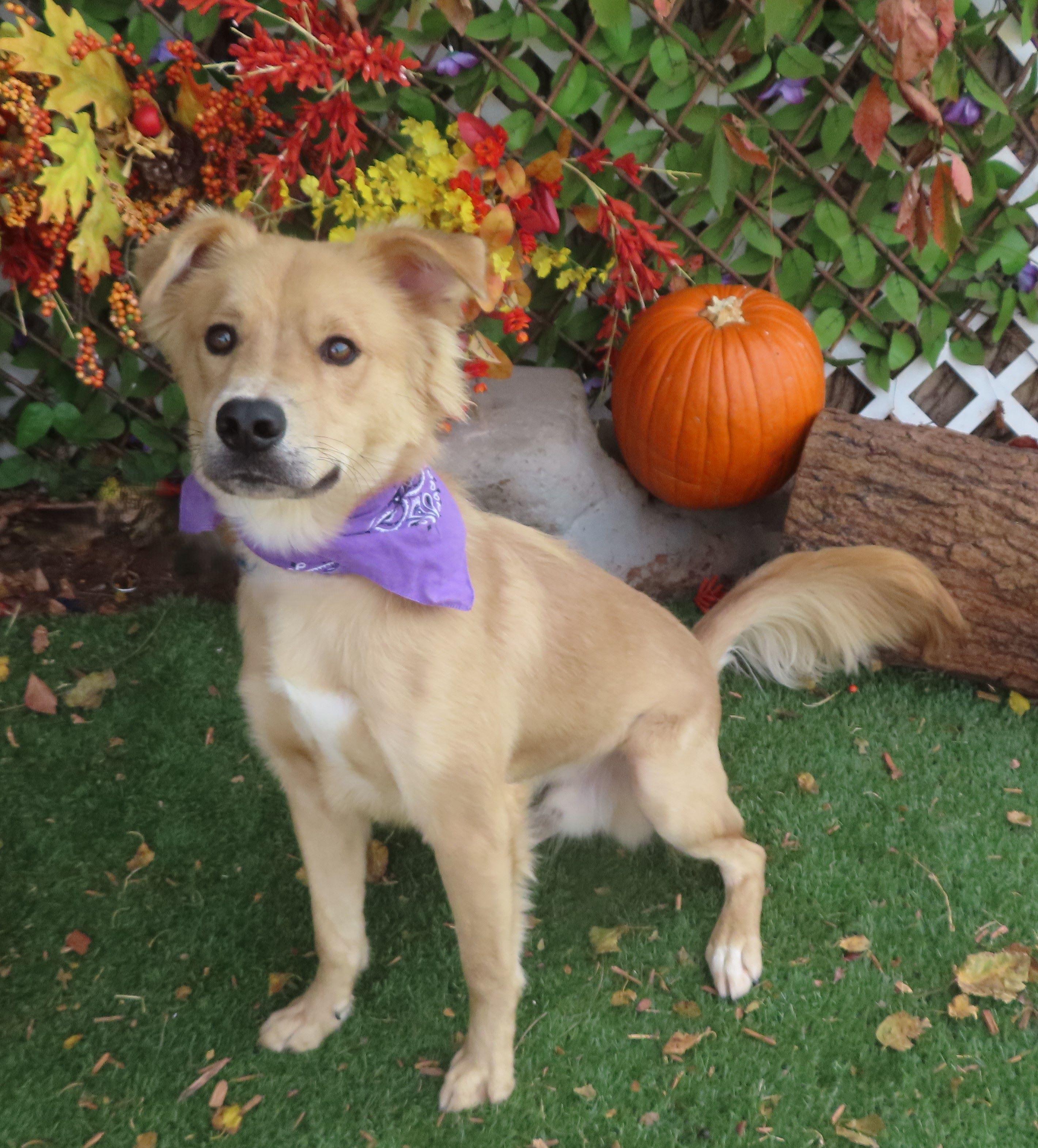 ROUGE 463859 WatchMyVideo!