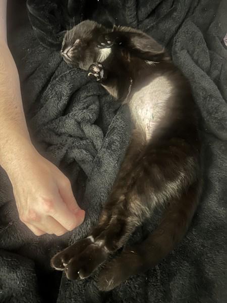 Baby Girl — thumbnail 2