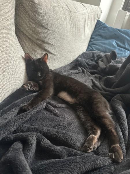 Baby Girl — thumbnail 6