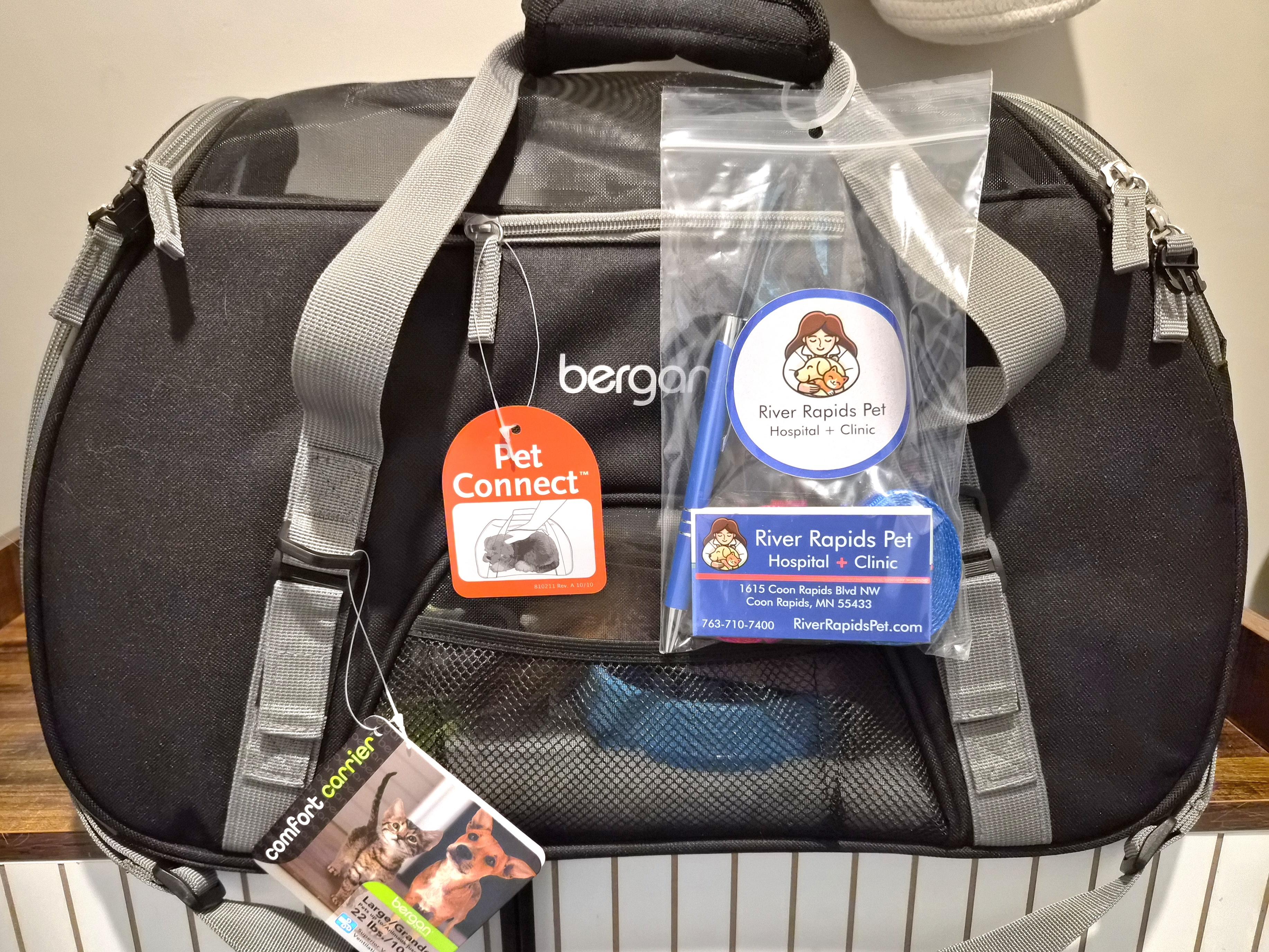 Enlarge Georgiana , a ADOPTABLE mixed breed in Lakeville, MN image 6/6