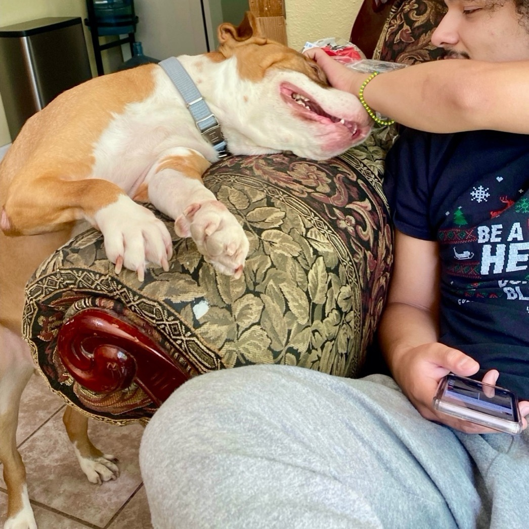 Marco — thumbnail 6