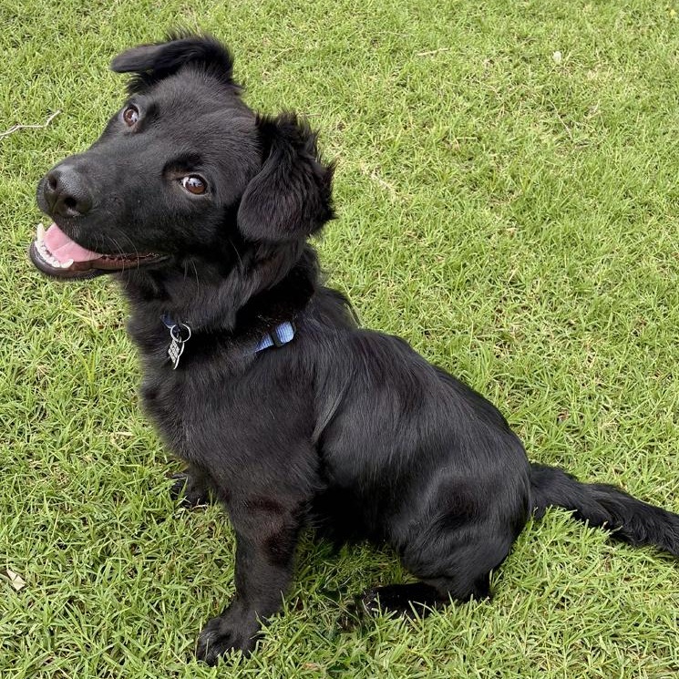 Sid