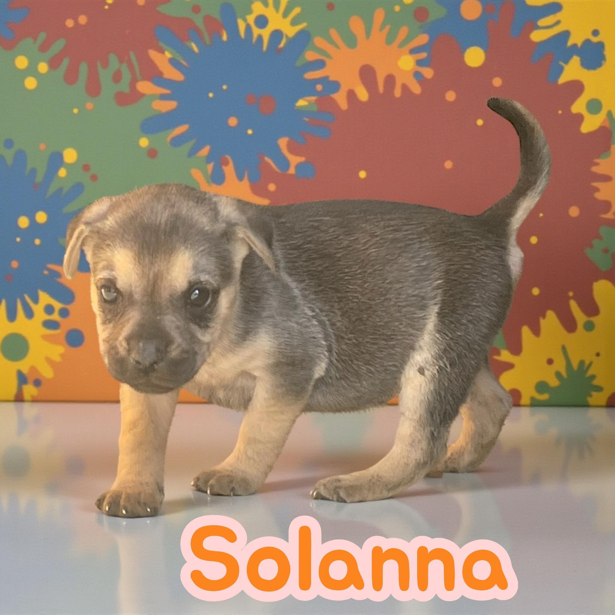 Solanna