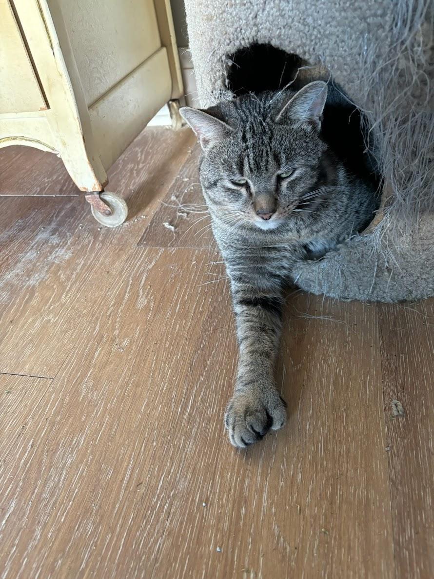 Ernie 5