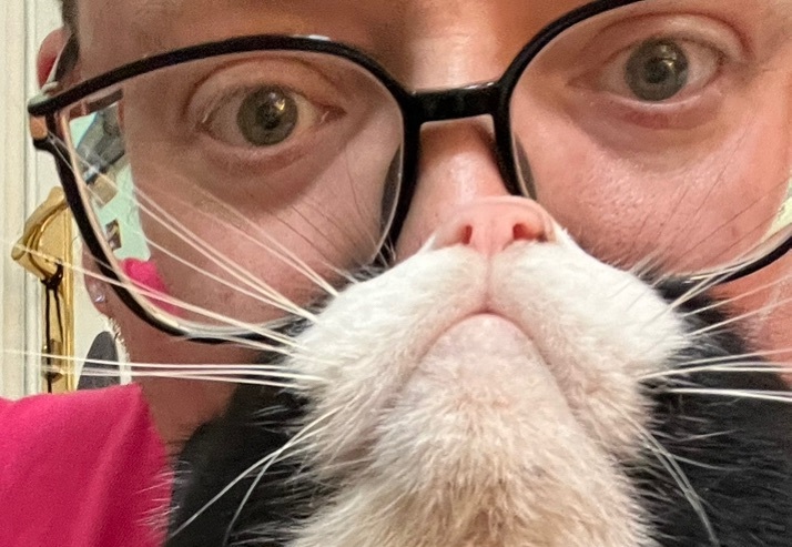 Domino, a Adoptable mixed breed in Cullowhee, NC image 6/10