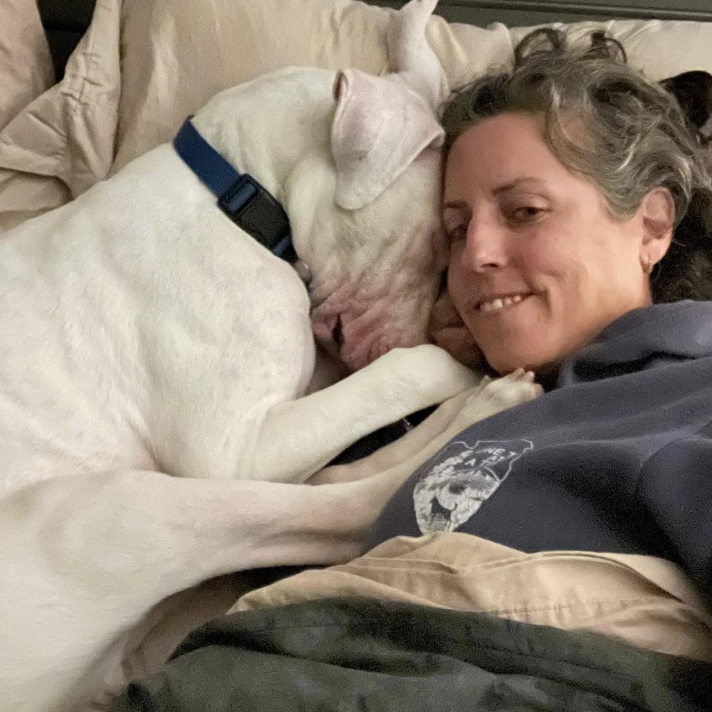 Enlarge Tzatziki, a Adoptable Mixed Breed in Chicago, IL image 6/6